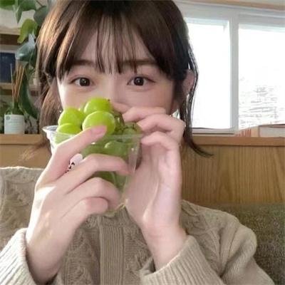 狐狸躲进洞